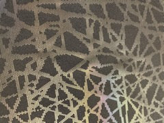 Black Rainbow Spider webs
