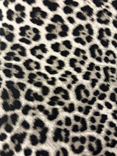 Grey Cheetah