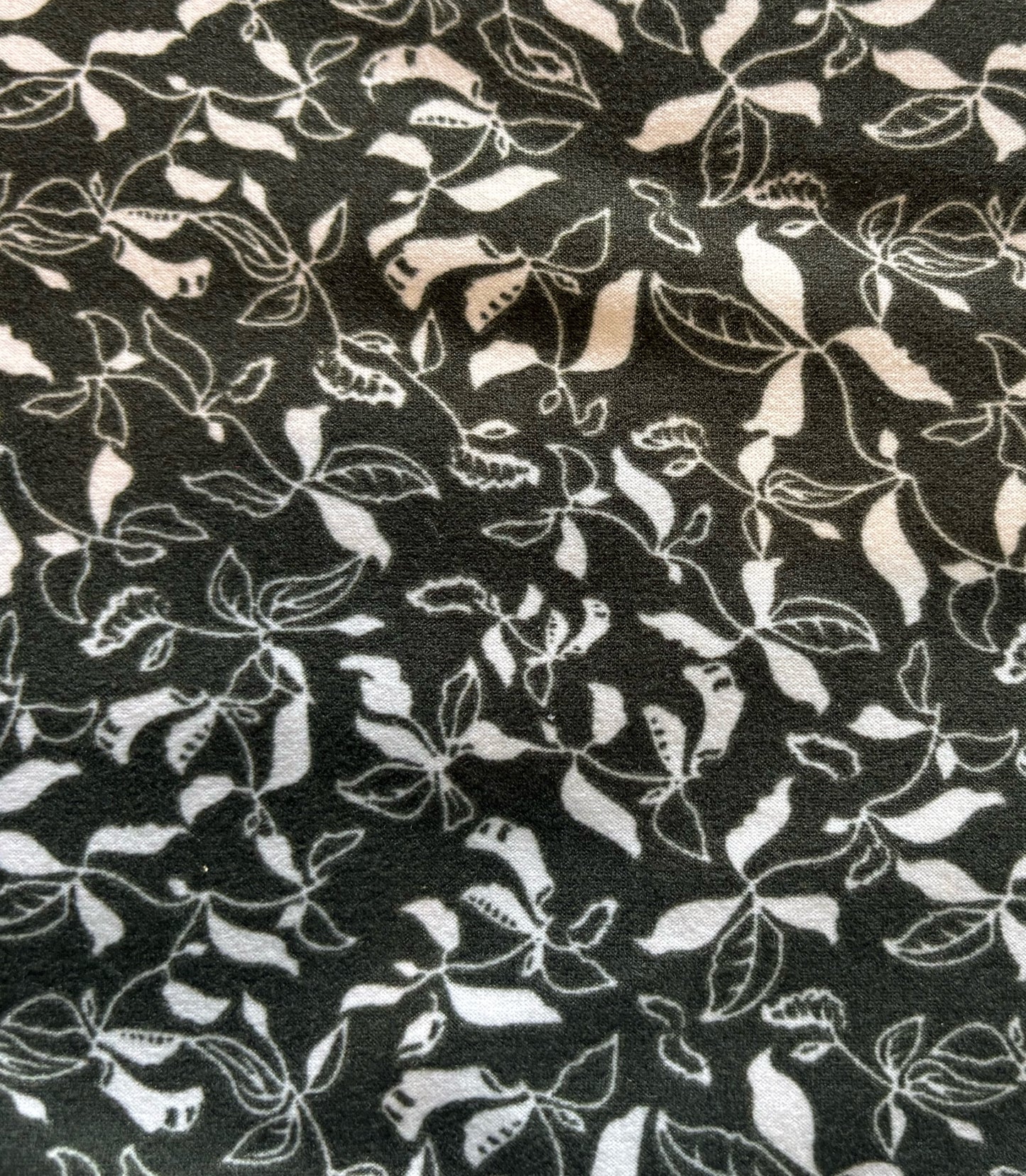 Olive With White Flowers