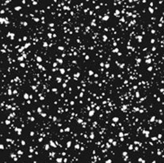 Black With Silver Speckles